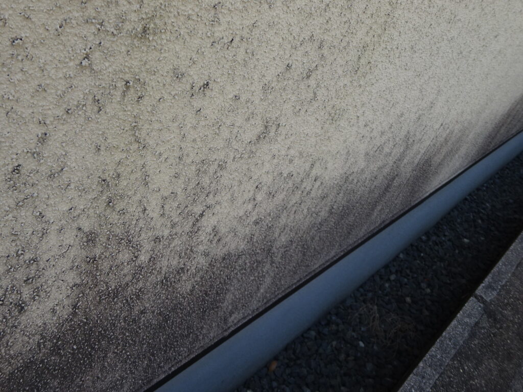 茨木市 外壁にコケ、カビの発生している状態